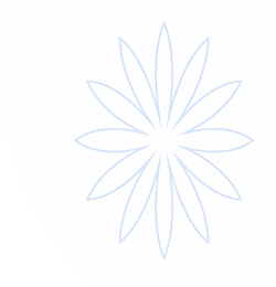 M6米乐体育-M6老虎机-M6体育直播